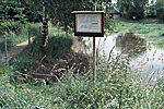 Aufzuchtweiher Murten