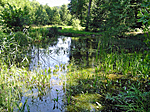 Aufzuchtweiher Chabrey