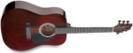 GUITARE FOLK STAGG SW203TR