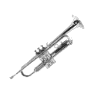 Trompete