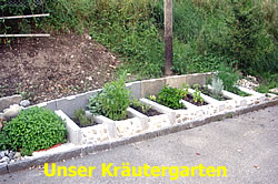 Unser Kr&auml;utergarten