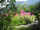 begegnungstag_juni_2009 020.jpg