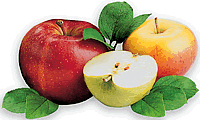 &Auml;pfel