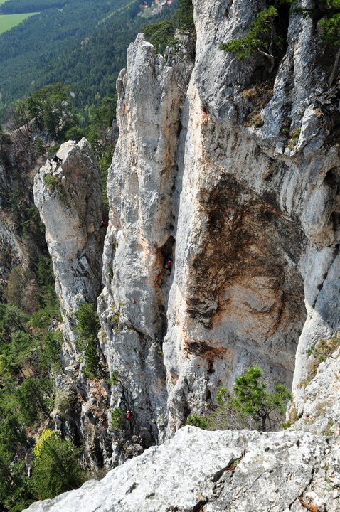 Wildenauersteig
