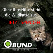 Wildkatzen sch�tzen