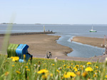 Nordseeinsel Pellworm 