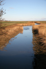Naturpur
