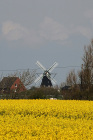 Farbenspiel