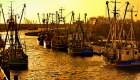 Goldener Hafen