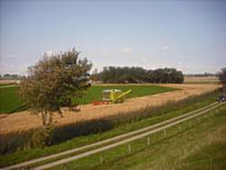 Ferienhof