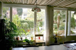 hausoase-007.jpg