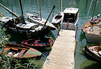 OBCZ - Zürichsee-Woche - Insel Schönenwerd - Boote am Steg festgemacht