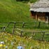 Oberplattnerhof