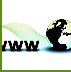 www