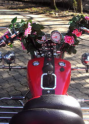 bannerwechel_hochzeit_onkel_joes_rent_a_trike/htr_hochzeitstrikes_021bw.jpg