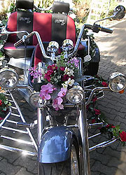 bannerwechel_hochzeit_onkel_joes_rent_a_trike/htr_hochzeitstrikes_024bw.jpg