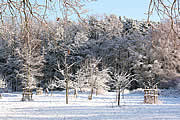 Winter im Wildpark