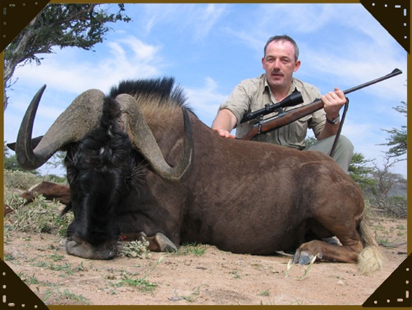 Gnu