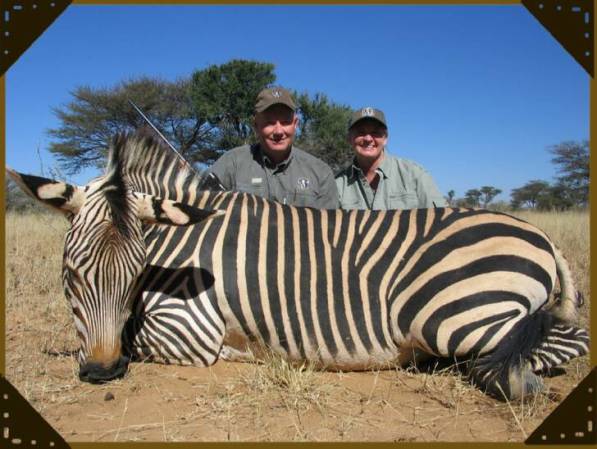 Zebra Jagd
