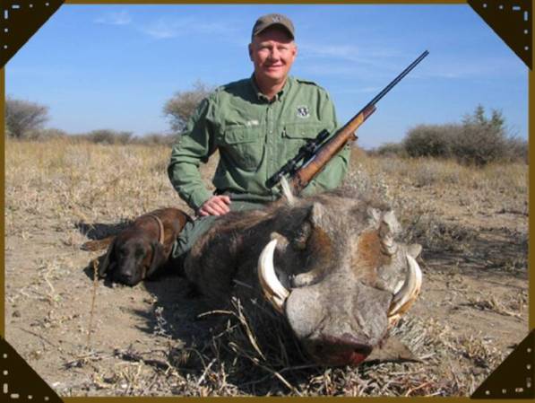 Warthog/Warzenschwein