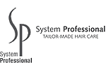 Systems Professional