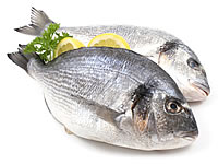 © Monika-Adamczyk - Fotolia.com / Metzgerei Kussmaul Stuttgart-Degerloch frischer Fisch kaufen verkauf