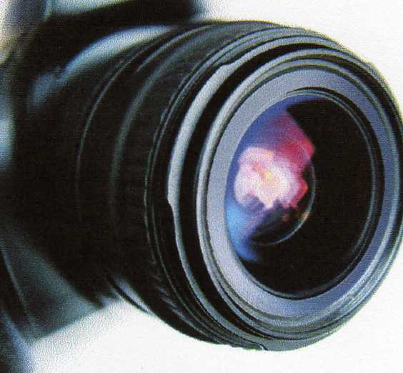 Photos
