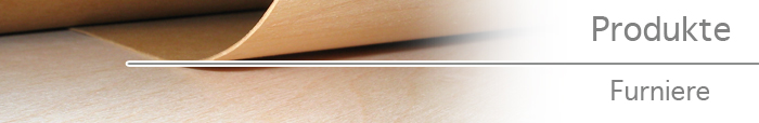 Furnierflex