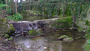 altes Wehr / ancien barrage