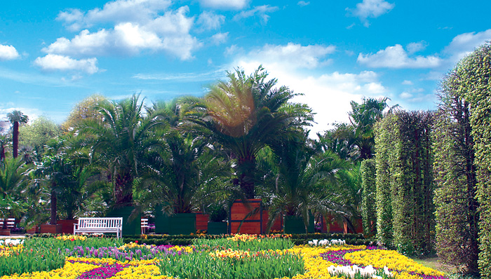 palmengarten_700x398.jpg
