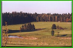 Golfplaztz Grafenhof