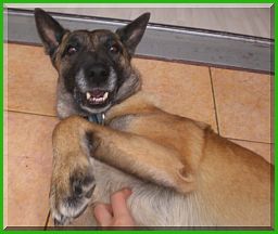 Hier f�hle ich mich wohl