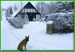 Ich liebe Schnee