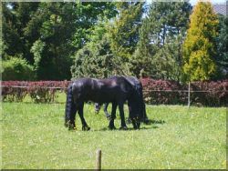 Sch�n anzusehen