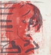 42 x 59 cm