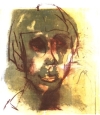 51 x 73 cm