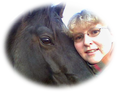 KB-Service - rund ums Pferd - Katja Bladt