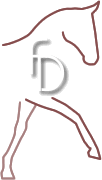 Pferdezucht Dahlhoff