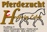 Pferdezucht Hedwig Eder in �sterreich