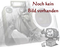 Zuchtstute Winni W