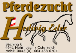 Pferdezucht Eder in Mehrnbach Baching 6
