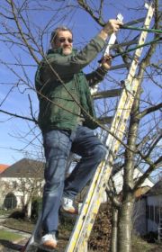 Arno Bourggraff, der Pflanzendoktor beim Obstbaumschnitt