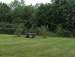 Rasenparzelle in Wittlich