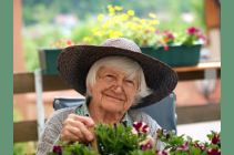 Fotolia_22822322_XS.jpg