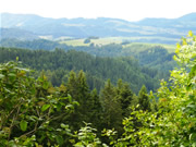 Leben wo andere Ferien machen - im Schwarzwald