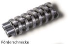 Schnecken.jpg