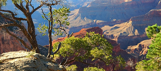 USA-Reisen