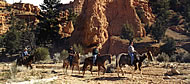 Westernreiten / Ranchaufenthalt