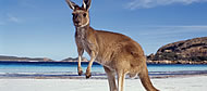 Australien