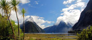 Neuseeland-Reisen